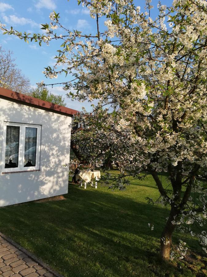 Miwa - Pokoje Do Wynajecia Mikołajki Esterno foto